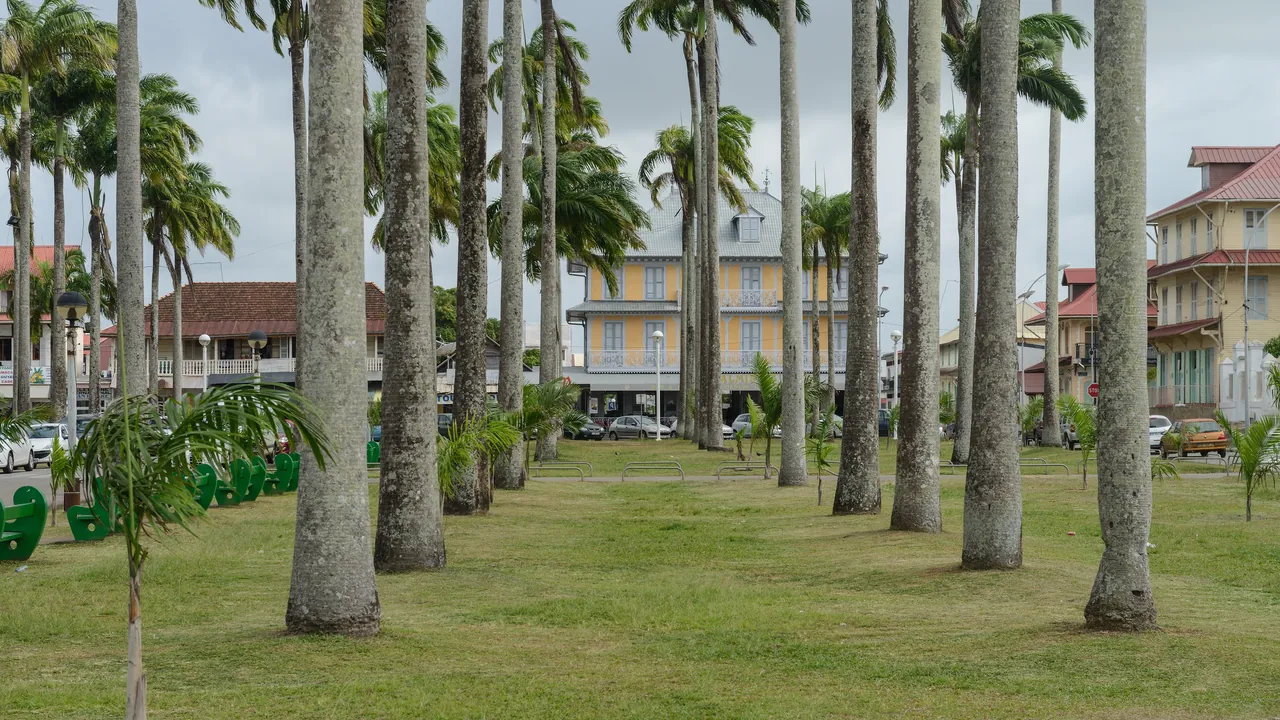 Cayenne (Guyane) : la place des Palmistes et ses palmiers royaux